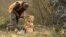 Sasa Dulovic from Kolasin, Montenegro makes wooden sculptures with a chainsaw – screenshot
