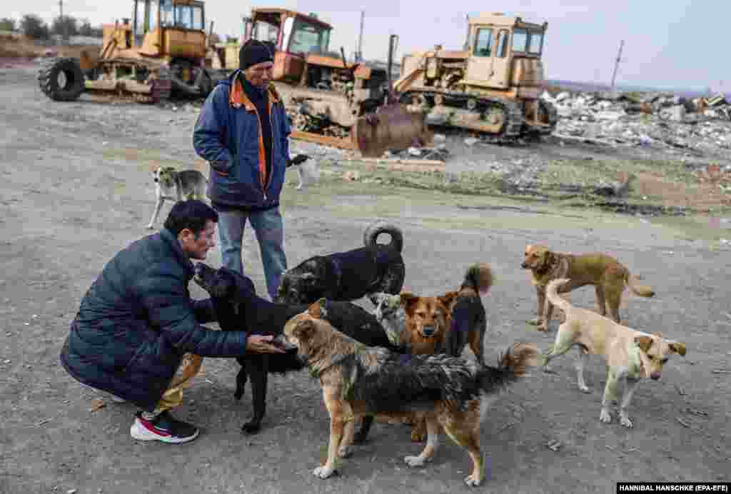 Собаки на звалищі радісно зустрічають Ганну