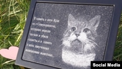 Памятник коту Кузе