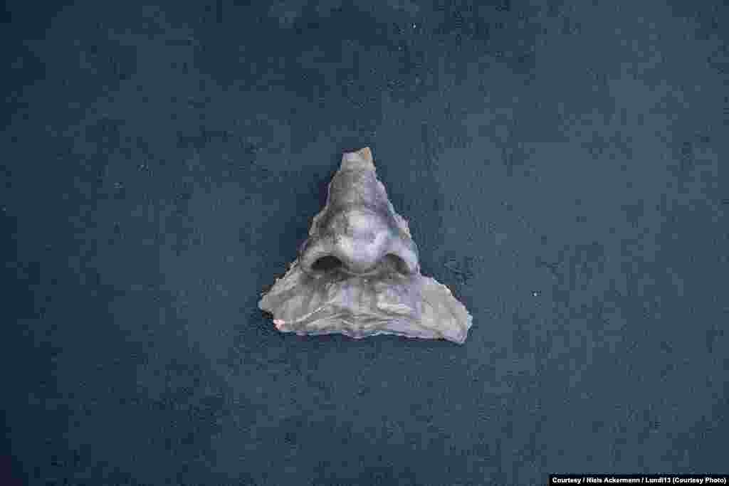 Nos sa spomenika Lenjinu, kipa koji je stajao na Trgu slobode u Harkovu, bio je dio prošlogodišnje izložbe Jevgenija Belorusetsa pod nazivom "Vratimo Lenjinovu glavu".