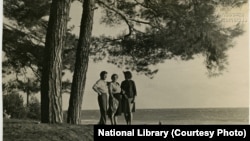 ბიჭვინთის როგორც ქართული, ისე ძველი ბერძნული სახელი პიტიუნტი (რუსულად პიცუნდა) ფიჭვს უკავშირდება. დღემდე ზღვის სანაპიროს კილომეტრების მანძილზე გასდევს ფიჭვის ტყის ნაკრძალი.