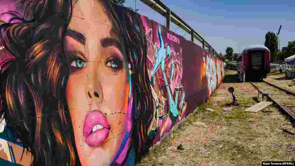 Iako omogućava slobodno izražavanje umetnika, zabranjuje primenu umetnosti sa elementima verske uvrede, omalovažavanja zajednica i bilo kakvog dela koji promoviše terorizam i pogađa ravnopravnost.