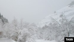 დიდთოვლობის საილუსტრაციო ფოტო