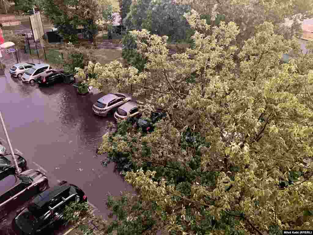 Navodi se i da će zbog oborenih stabala na kupalištu Štrand, plaža biti zatvorena za posetioce dok posljedice ne budu sanirane i omogućeno sigurno dalje funkcionisanje. Novi Sad, 19. juli 2023.  