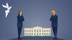 Харрис и Трамп готовятся к встрече лицом к лицу
 Харрис и Трамп готовятся к встрече лицом к лицу