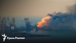 Как война влияет на экосистему Черного моря
 Как война влияет на экосистему Черного моря