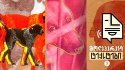 ცხოველი ადამიანის ხელში. აქვთ ცხოველებს უფლებები? ცხოველი ადამიანის ხელში. აქვთ ცხოველებს უფლებები?