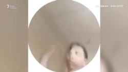 Шпигель программы Шпигель программы