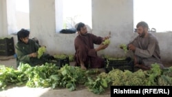 د انګورو د پاکولو یو انځور