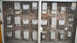 Čekaju se računi: Ko će plaćati struju na sjeveru Kosova nakon 25 godina? Čekaju se računi: Ko će plaćati struju na sjeveru Kosova nakon 25 godina?