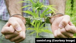 „ქართული ოცნება“ კანონს დაჩქარებული წესით ამკაცრებს.