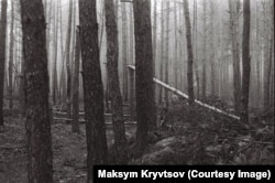 Šuma oko vojnog položaja u neodređenoj regiji Ukrajine