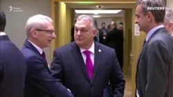 Орбан против Украины Орбан против Украины