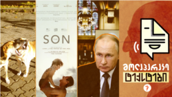 ძებნილი პუტინი. ცოფის პრობლემა ამბროლაურში. დაუნდობელი ფილმის დაცვა