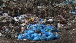 TV Liberty: Zelena tranzicija BiH na putu ka EU