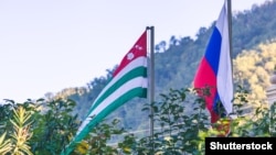 აფხაზური საზოგადოების უკმაყოფილებას ძირითადად ხელშეკრულების მეხუთე მუხლი იწვევს, რომელიც, ოპონენტების აზრით, ადგილობრივ ბიზნესს წამგებიან მდგომარეობაში აყენებს და აფხაზეთის ეროვნულ ინტერესებს აზიანებს.