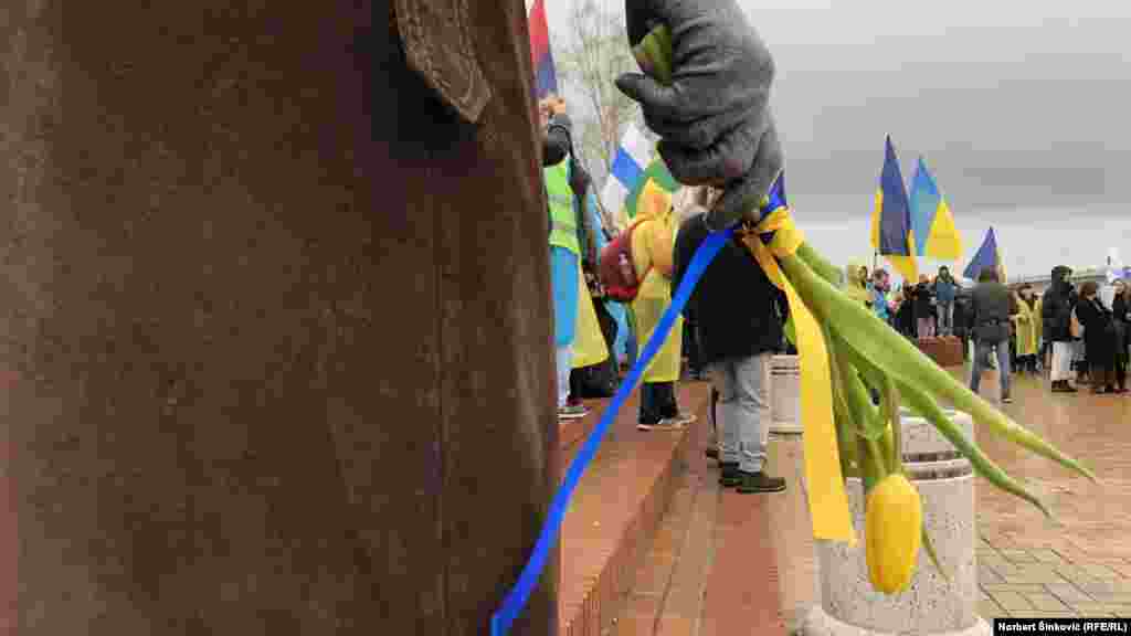 Buketi žutih lala sa trakama u bojama ukrajinske zastave u znak sećanja na stradale u ratu u Ukrajini i kao znak podrške ukrajinskom narodu.