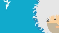 Кадыров, Керимов и Wildberries | #194 Кадыров, Керимов и Wildberries | #194