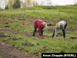 Vrtlari u poslu, 24. april
