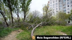 შემთხვევის ადგილზე კეთილმოწყობის სამსახურმა ხეები და ბუჩქები მოჭრა, აპრილი, 2023 წელი