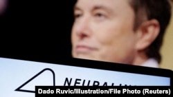Ilustrativna fotografija, Elon Musk 