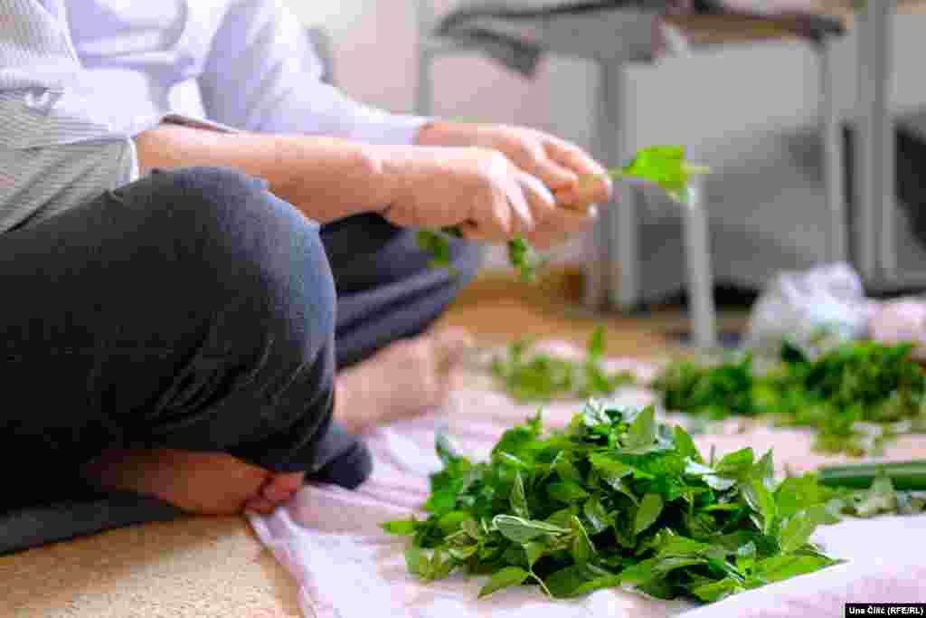 Svaki stan kvarta u Nirnbergu miriše na hranu i začine. Za miris stana u kojem živi Fariba zadužen je njen otac koji čisti mentu koju koriste za jelo ali i čaj.