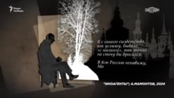 О чем фильм Мамонтова про иноагентов  О чем фильм Мамонтова про иноагентов