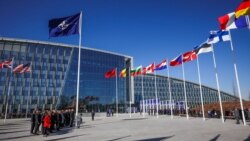 Finska postala 31. članica NATO-a Finska postala 31. članica NATO-a