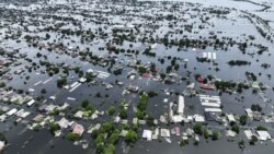 Спецоперация против природы. Экоцид в Украине Спецоперация против природы. Экоцид в Украине