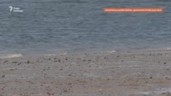 Без води та під обстрілами: які наслідки знищення Каховської ГЕС для Нікопольщини? (відео)