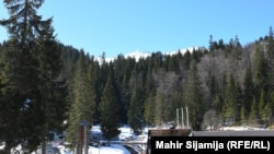 Plan kompanije "Drvo export" je da gradi hotele na otkupljenoj zemlji, te da investira oko 500 miliona maraka.