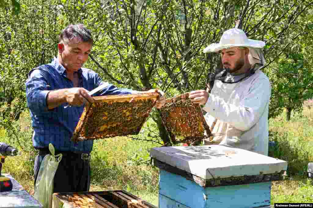 &quot;Imamo velike gubitke i veoma velike troškove&quot;, kaže Koskoviku za Radio Slobodna Evropa.