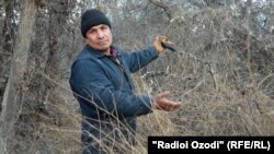 Қурбонбой Бобоҷонов ба зинаҳои болоии додгоҳ шикоят бурдааст.