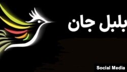 سکوی «بلبل جان» فیلمهای خارجی را «بدون سانسور» پخش میکرد