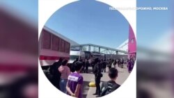 Задержания мигрантов на складе Вайлдберриз Задержания мигрантов на складе Вайлдберриз