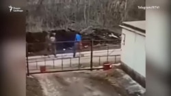 Поймали не того Поймали не того