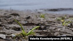 Обмеление реки Днепр в Запорожье из-за кататсрофы на Каховской ГЭС. Запорожье, Украина, июнь 2023 года