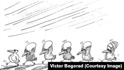 Знаменитые птички Виктора Богорада