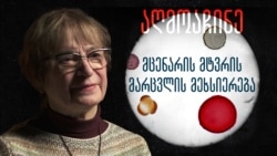 რას გვიყვება უძველესი მცენარის მტვრის მარცვალი?
 რას გვიყვება უძველესი მცენარის მტვრის მარცვალი?