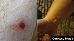 ფოტოები: კონსტანტინე ჩახუნაშვილი