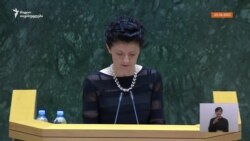 თეა წულუკიანს სიტყვით გამოსვლა შეაწყვეტინეს თეა წულუკიანს სიტყვით გამოსვლა შეაწყვეტინეს