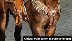 Detalj na fotografiji iz aprila 2023.