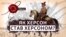 Херсону дали грецьку назву, бо готували захоплення Стамбулу – краєзнавець Білий
