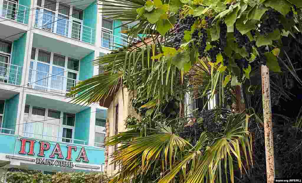 В «Праге» совсем не видно отдыхающих