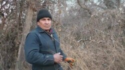 Ҷанҷол барои дарахт то ба додгоҳи Ғафуров рафт
 Ҷанҷол барои дарахт то ба додгоҳи Ғафуров рафт