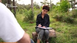 როგორ მფარველობენ კონტრაბანდისტებს როგორ მფარველობენ კონტრაბანდისტებს