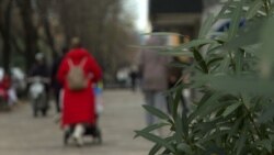 Popis u Crnoj Gori: Treba li žena da 'prati' muža?