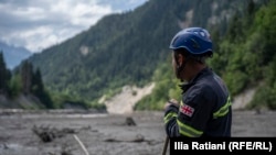 გარემოს ეროვნულმა სააგენტომ შოვსა და ნერგეეთზე დასკვნები მოამზადა