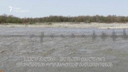 ქალები სველი ტანსაცმლით ზუგდიდის ბაზარში ქალები სველი ტანსაცმლით ზუგდიდის ბაზარში