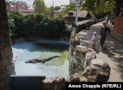 Muja u svojoj ljetnoj ogradi. Zimi se premješta u grijano sklonište.